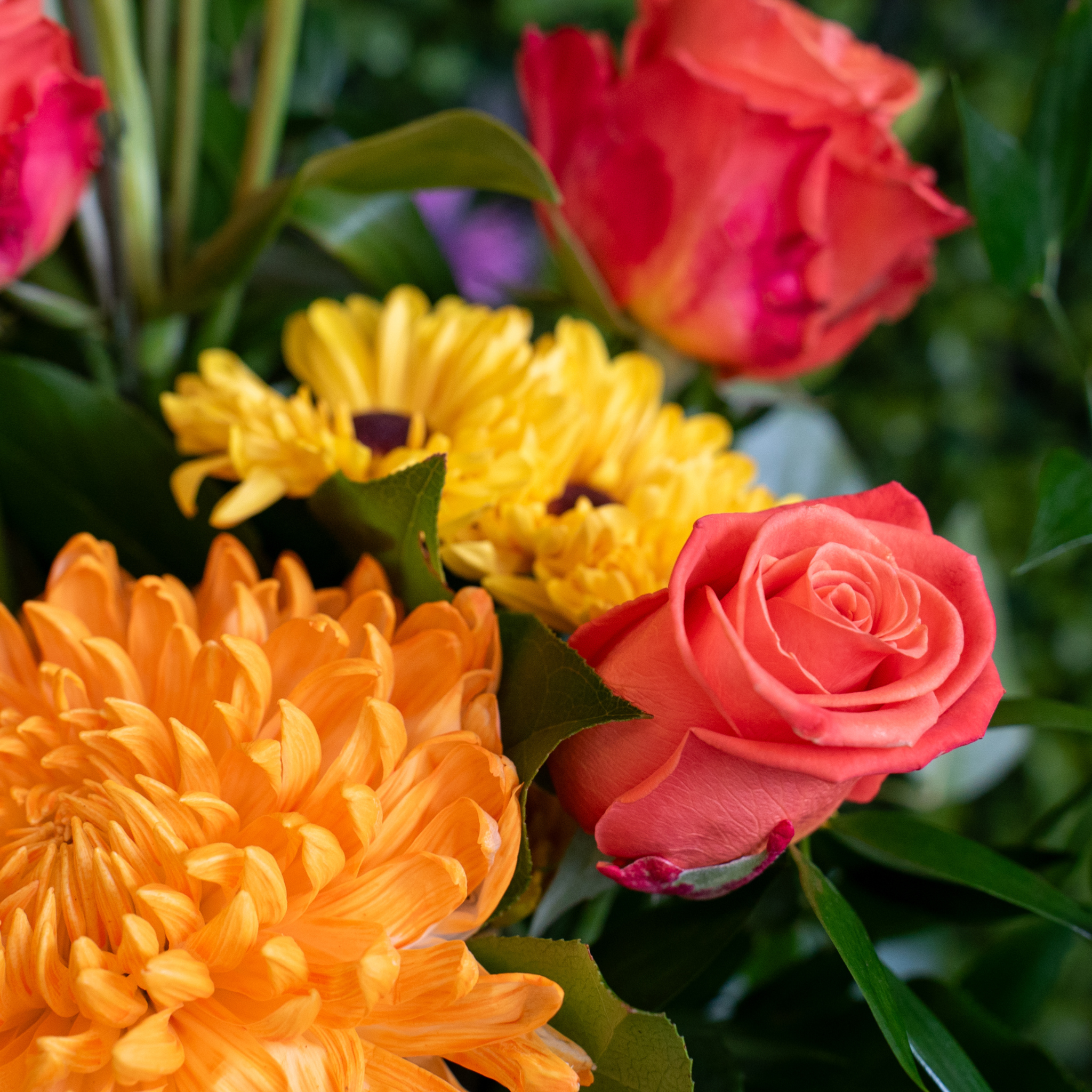 Mother's Day 2026