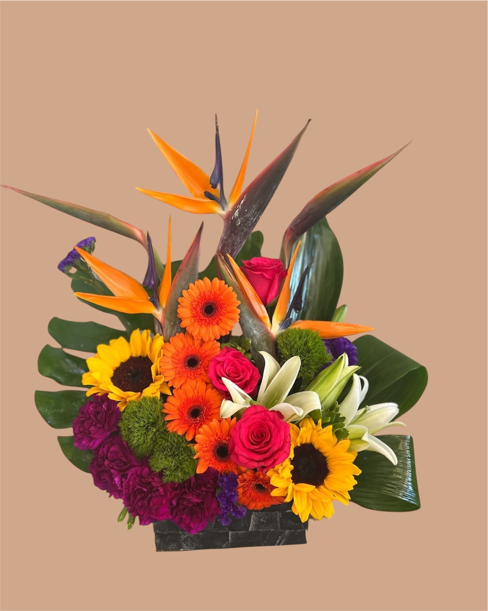 singing with the birds