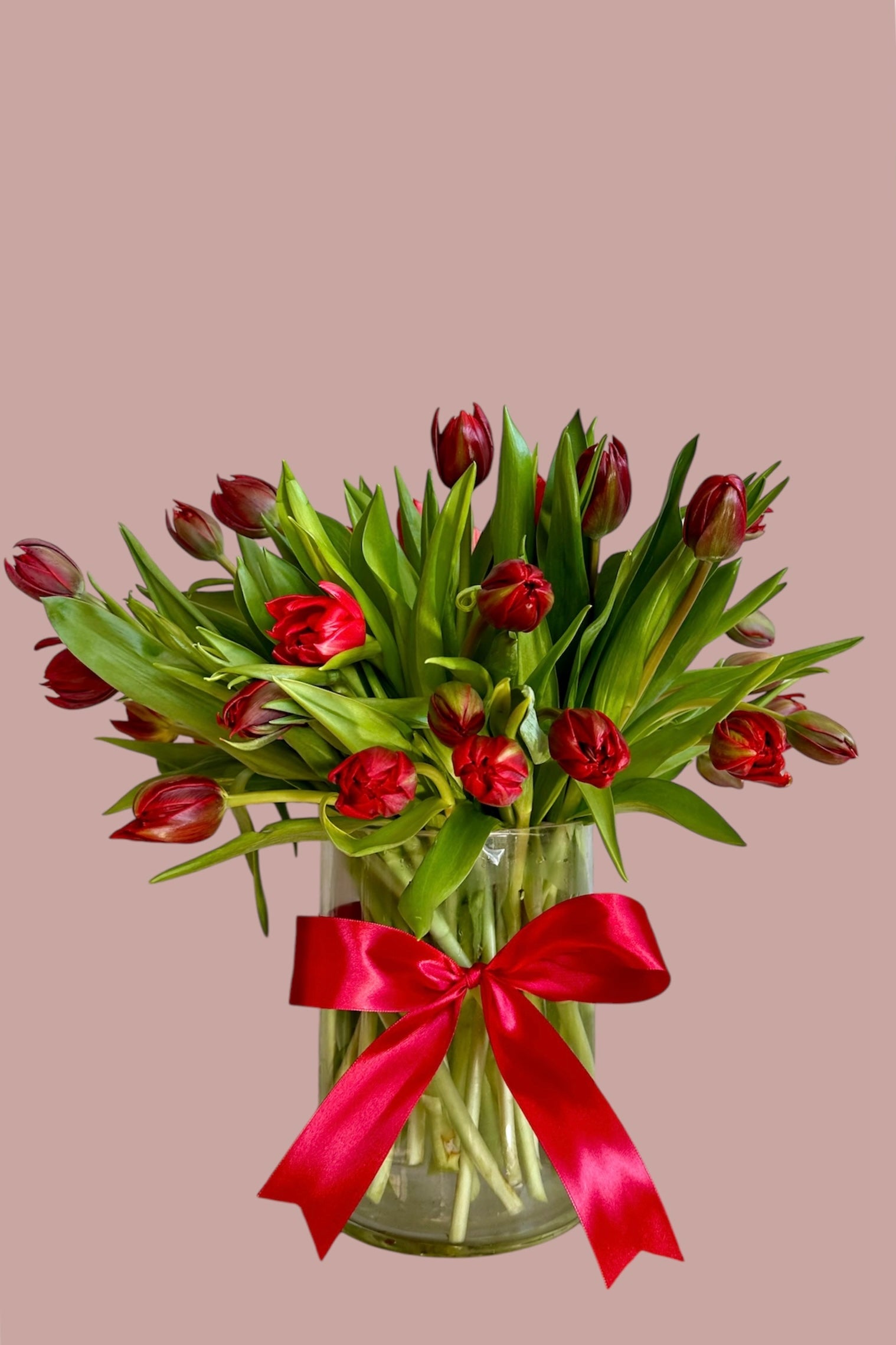 36 Red Tulips in a Vase